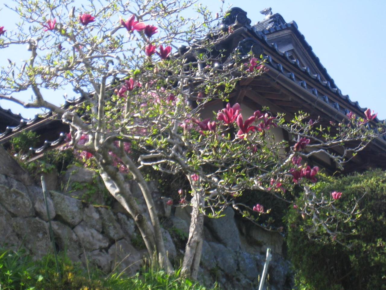 Japanese Style Inn Dohzen Miwa Niimi Buitenkant foto