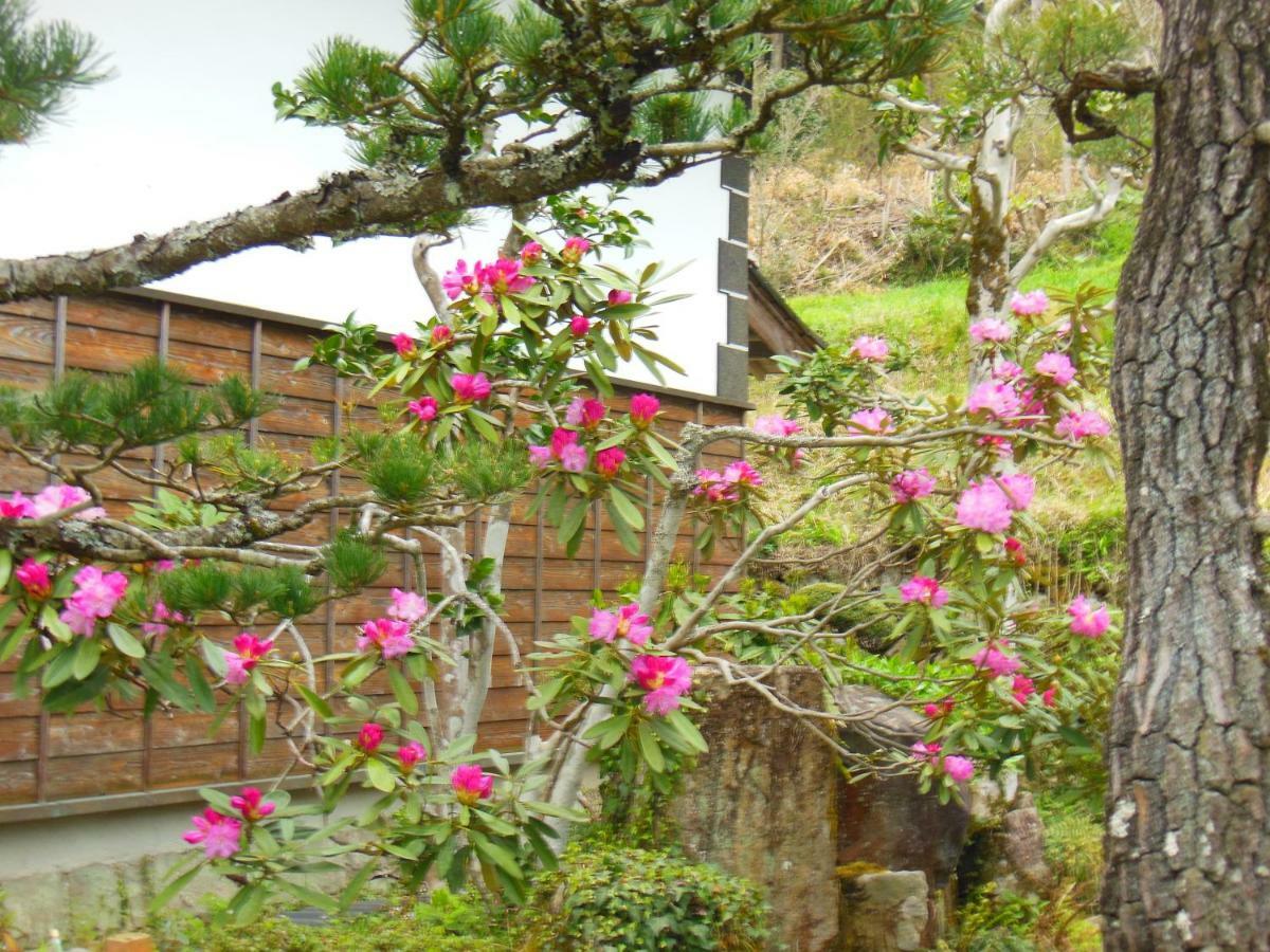 Japanese Style Inn Dohzen Miwa Niimi Buitenkant foto